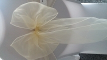 Ivory organza