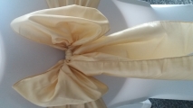 Champagne gold tafetta