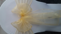 Champagne gold Organza