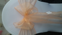 Peach organza