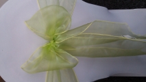 Yellow green organza