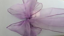 Violet organza