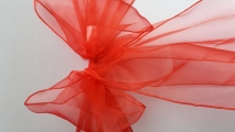 Red organza