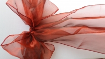 Burgundy organza