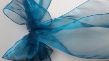 Teal blue WM