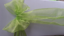 Apple green WM