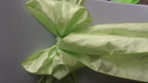 Sage green tafetta